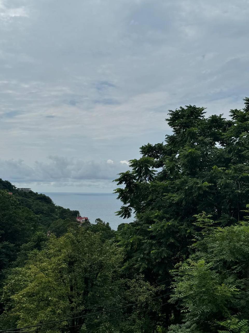 Willa Royal House Kvariati Zewnętrze zdjęcie